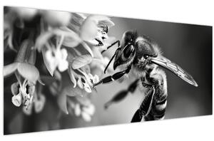 Tablou - Detaliu de albină (120x50 cm)
