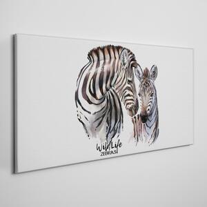 Tablou canvas Dungi animale de zebră