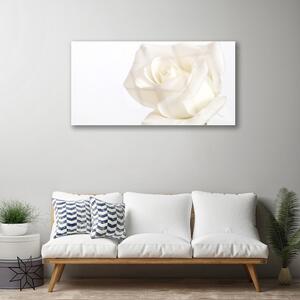 Tablou pe sticla Rose Floral alb