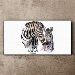 Tablou canvas Dungi animale de zebră