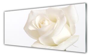 Tablou pe sticla Rose Floral alb