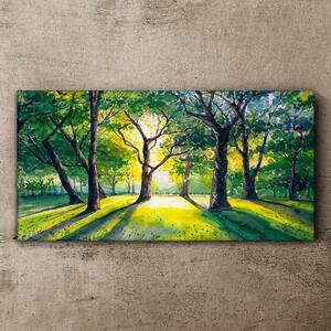 Tablou canvas pădure frunze soare
