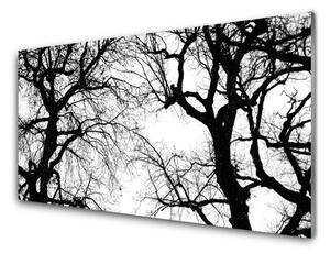 Tablouri acrilice Copaci Natura negru