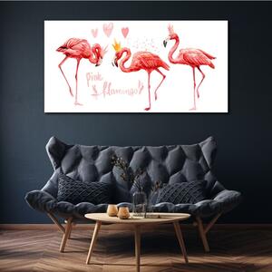Tablou canvas animal pasăre flamingo