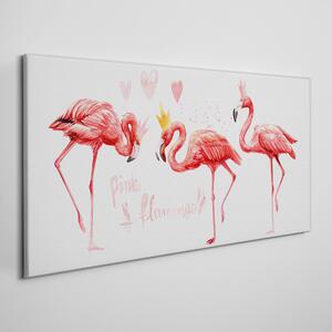 Tablou canvas animal pasăre flamingo