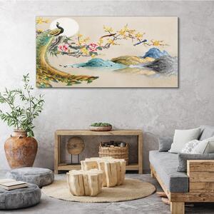 Tablou canvas Flori de munte abstracte Păun