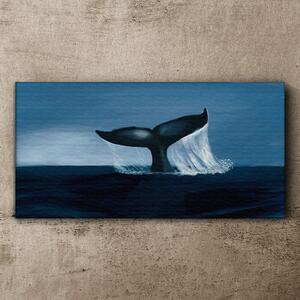 Tablou canvas Animal marin balenă