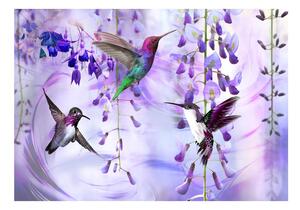 Fototapet autoadeziv - Flying Hummingbirds (Violet)