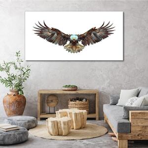 Tablou canvas Animal pasăre vultur