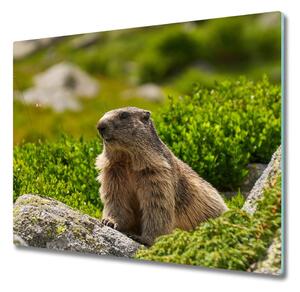 Tocator din sticla Marmot tatra