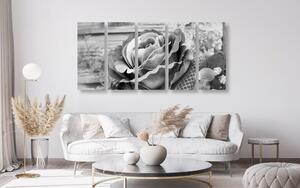 Tablou 5-piese trandafir vintage elegant în design alb-negru