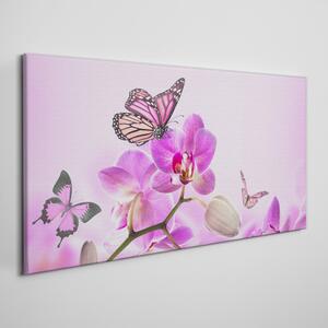 Tablou canvas Flori Natura Fluture