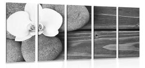 Tablou 5-piese pietre wellness și orhidee pe fundalul din lemn în design alb-negru