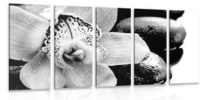 Tablou 5-piese orhidee exotică în design alb-negru
