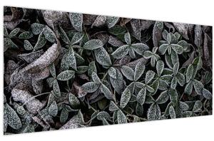 Tablou - Plante înghețate (120x50 cm)