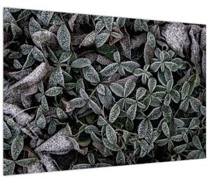 Tablou - Plante înghețate (90x60 cm)