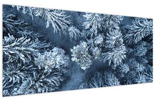 Tablou - Pădure înzăpezită (120x50 cm)