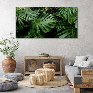 Tablou canvas Frunzele junglei tropicale