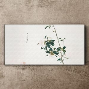Tablou canvas Insecte și flori Ju Lian