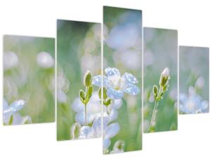 Tablou - Flori delicate (150x105 cm)