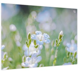 Tablou - Flori delicate (70x50 cm)