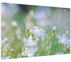 Tablou - Flori delicate (90x60 cm)