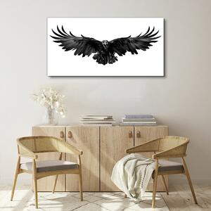Tablou canvas Animal pasăre corb
