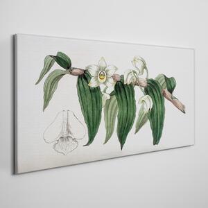 Tablou canvas Desen al unei flori de ramură de orhidee