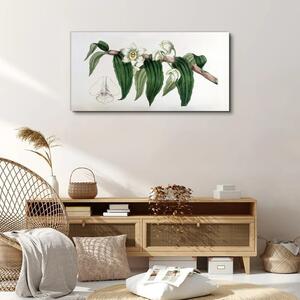 Tablou canvas Desen al unei flori de ramură de orhidee