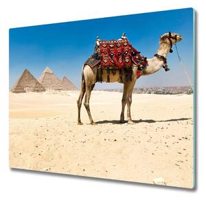 Tocator din sticla Camel în cairo