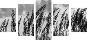 Tablou 5-piese iarba în design alb-negru