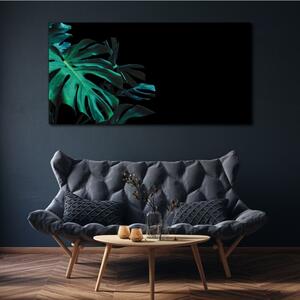 Tablou canvas Frunza botanica junglei