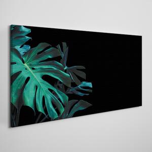 Tablou canvas Frunza botanica junglei