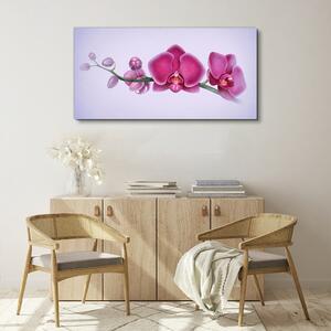 Tablou canvas Acuarelă flori orhidee ramură