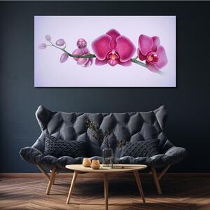 Tablou canvas Acuarelă flori orhidee ramură