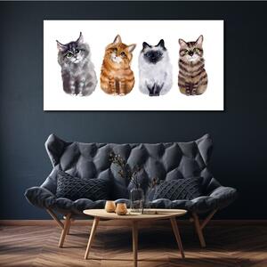 Tablou canvas Pictură animale pisici