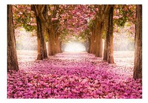 Fototapet autoadeziv - Pink grove