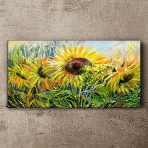 Tablou canvas Flori Flori Floarea soarelui