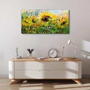 Tablou canvas Flori Flori Floarea soarelui