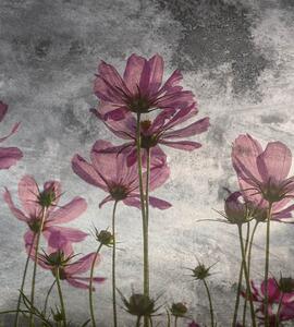 Fototapet Art flori violete misterioase
