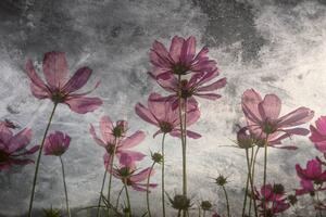 Fototapet Art flori violete misterioase