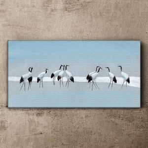 Tablou canvas animale păsări