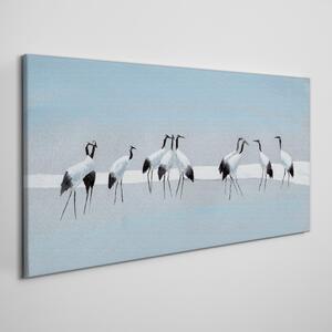 Tablou canvas animale păsări