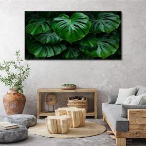Tablou canvas Frunze de plante moderne