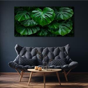 Tablou canvas Frunze de plante moderne