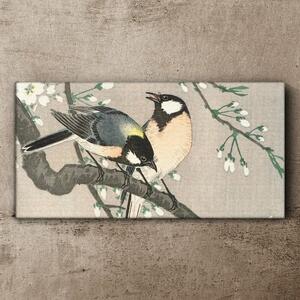 Tablou canvas Natura Animale Păsări