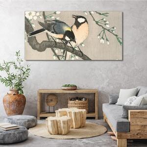 Tablou canvas Natura Animale Păsări