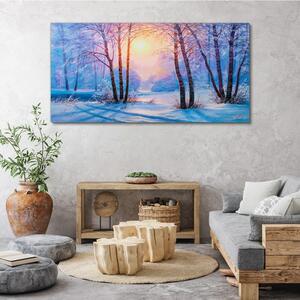 Tablou canvas pădure de iarnă, apus de soare, natură