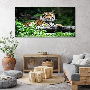 Tablou canvas animal de pădure pisică tigru