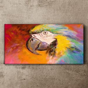 Tablou canvas Papagal animal abstract